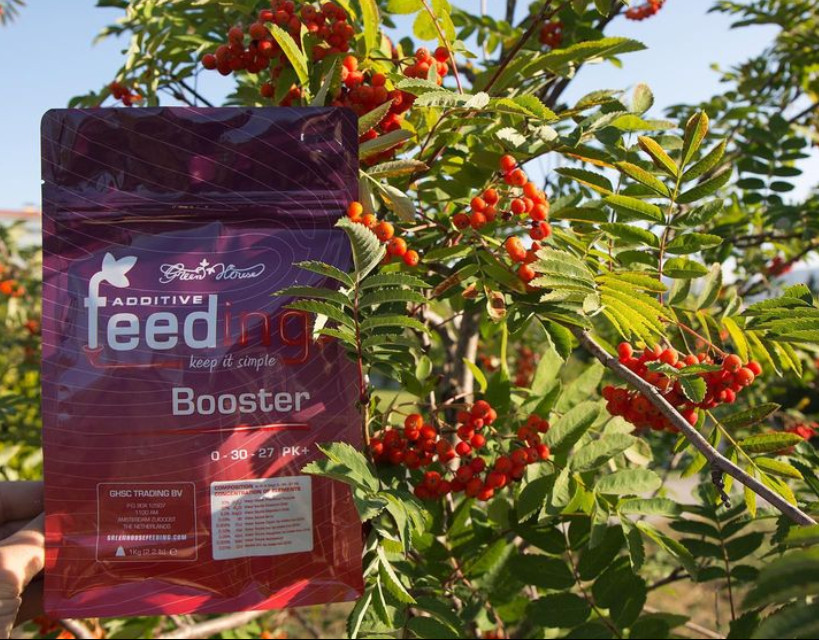 Green House Feeding Booster (PK)