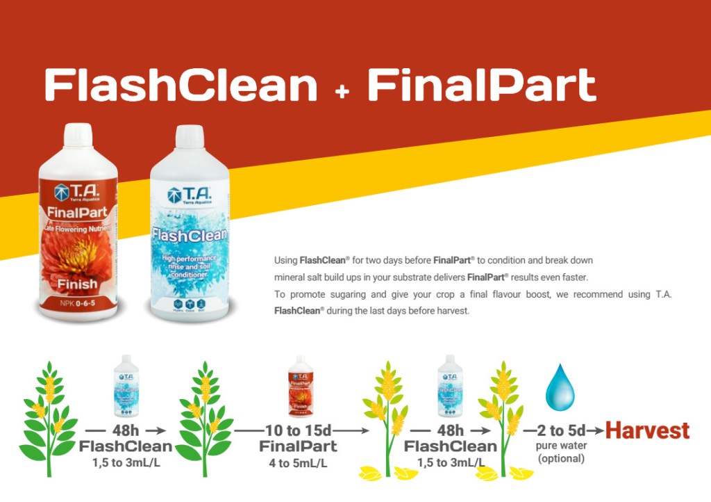 FinalPart and FlashClean usage sequence and timing. Medical herb flowers harvesting process.